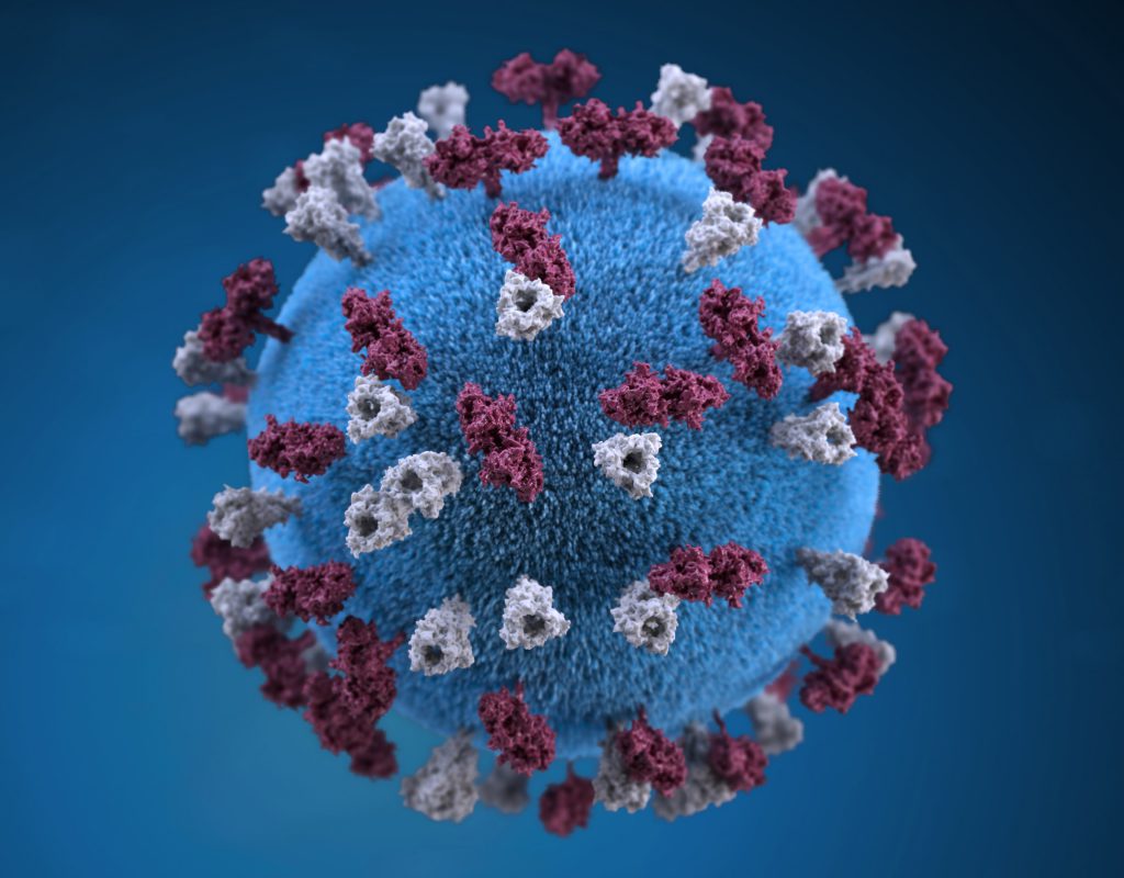 Изображение вируса